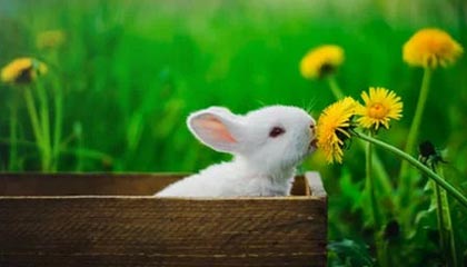 郑钦文、苏炳添等运动员亮相天安门广场,均受邀参加九三阅兵盛典